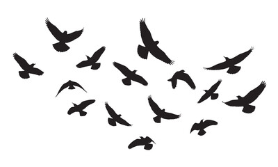 A dynamic flock of bird silhouettes in flight, a minimalist design symbolizing freedom, unity, and the journey of life