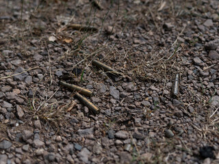 Close-up view of expended brass cartridge cases scattered on rocky terrain
