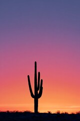 silhouette of cactus under pink sunset