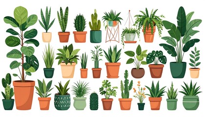 A colorful collection of various houseplants in diverse pots, showcasing a variety of foliage and textures.