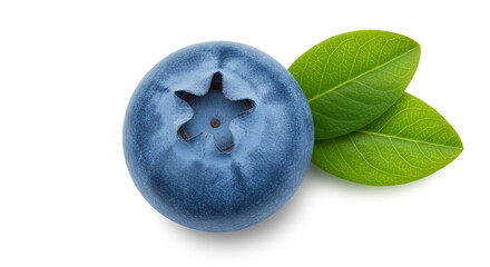 Close up of a single blueberry with a star shaped top and two green leaves on a white background