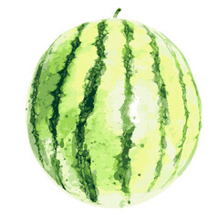 水彩で描いたスイカの絵