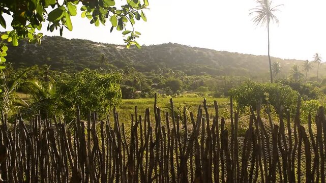 Amanhecer em fazenda no sert&atilde;o nordestino, caatinga verde em ambiente rural no nordeste brasileiro, morro e p&eacute; da serra