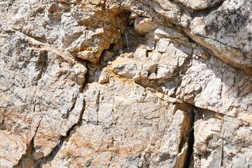 Sand colored rock wall in Colorado wilderness.