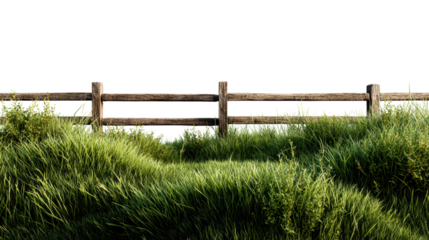A lush green grass landscape with a rustic wooden fence in bright sunlight, capturing natural beauty.