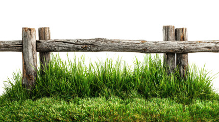 Obraz premium Green grass and rustic wooden fence against a white background, perfect for nature-themed designs.