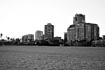 The skyline of Long Beach, California, rises over sandy shores lined with palm trees, showcasing tall urban buildings along the Pacific coastal horizon.