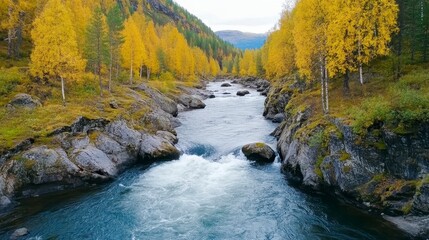 Obraz premium Scenic Autumn River Flowing Through Vibrant Yellow Forest Landscape