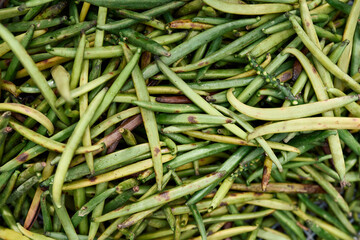 Vanilla pods sundrying after harvest, transforming into aromatic spice valued by food and beauty sectors worldwide