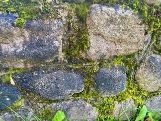 Close up of natural stone wall covered with green moss and grass details