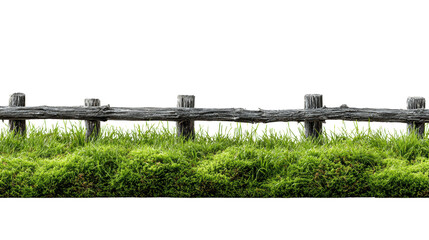 Obraz premium Wooden fence with green grass, white isolated background.