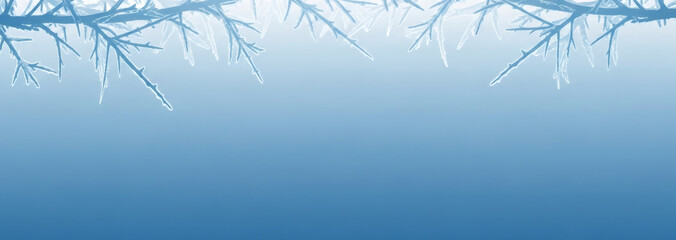 Winter frosty branches with ice on blue background. Cold weather backdrop with covered twigs. Frozen nature concept.