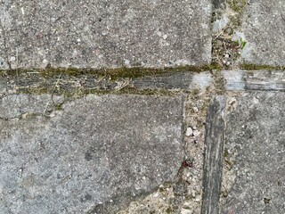 Aged stone pavement with green moss and natural cracks creating rustic texture