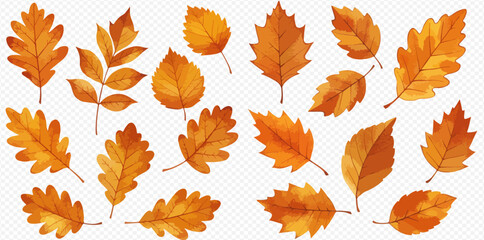 A beautiful collection of various autumn leaves in warm orange and yellow tones, illustrated in a watercolor style.