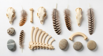 Bones, feathers, and stones on white background. Nature elements for pagan winter holidays. Natural objects for ritual and tradition.