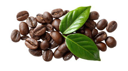 Coffee beans and green leaves on a white isolated background.
