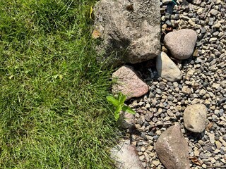 Natural border with green grass meeting gravel and stones in outdoor garden design