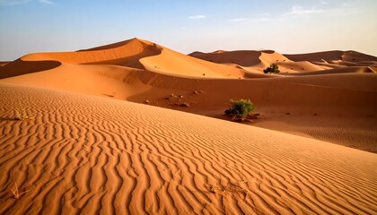 A vast expanse of orange desert dunes stretches into the horizon, showcasing intricate patterns in the sand.