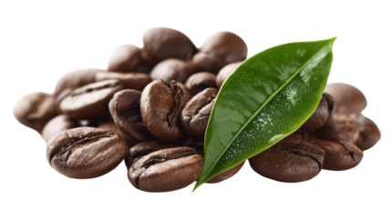 Coffee beans with green leaf, isolated on white background.