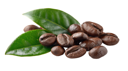 Coffee beans with green leaves on a white isolated background.