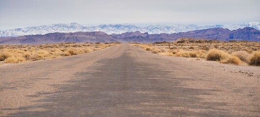 Desert Road to Snow-Capped Mountains