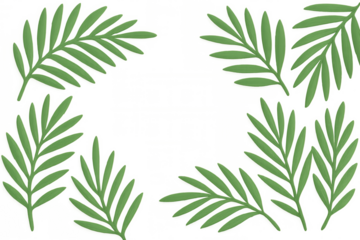 Tropical border made of green palm leaves on a transparent background, perfect for summer or jungle-themed designs