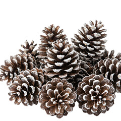 Snow-Covered Pine Cones: Winter Holiday Decoration, Natural Elements, Festive Season