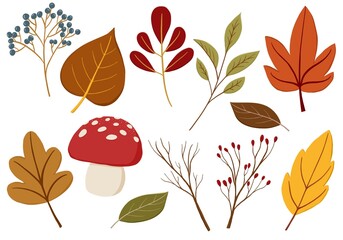 Autumn leaves and mushroom