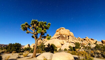 Starry sky over Joshua Tree and rugged rock formations in desert landscape