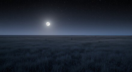 A vast grassy prairie stretches to the horizon under the luminous glow of a full moon in a clear, starry night sky