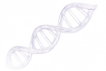 Spinning translucent dna helix symbolizing genetic research, molecular structure against clear backdrop highlighting scientific innovation