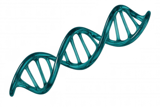 Glassy turquoise dna helix rotating on transparent background, perfect for scientific or medical projects