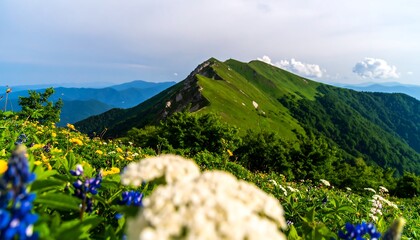 Lush mountain slopes dotted with wildflowers rise to a dramatic peak, showcasing a vibrant landscape of green hills and bright blossoms under a serene sky.