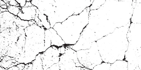 Abstract Black White Distressed Crack Texture Vector Overlay