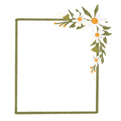 Daisy floral frame, border illustration
