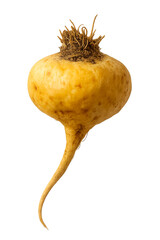 maca peruana em pe