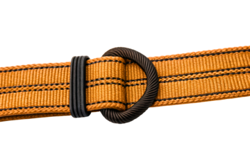 Orange nylon webbing strap with a metal D ring for fastening isolated with transparent background