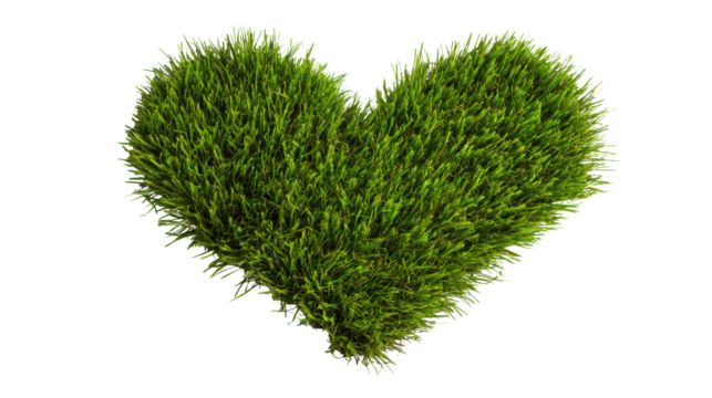 Green grass heart shape on white isolated background.