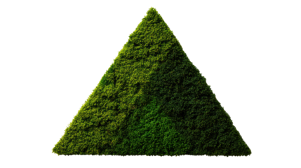 Green moss-covered triangular mound on a white background.
