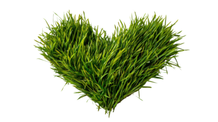 Heart-shaped grass symbolizing love for nature on a white isolated background.