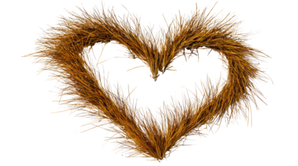 Heart-shaped arrangement of dried grass on a white isolated background.