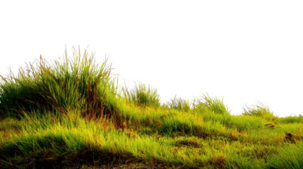 Lush green grass mound on an isolated background, showcasing vibrant nature and outdoor beauty.