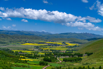 Fototapeta premium landscape of rapeseed flower field and green mountain