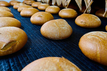Rustic freshly baked white-rye blend bread at bakery outlet, showcasing Baltic rye, Farmer bread, and mixed grain loaves