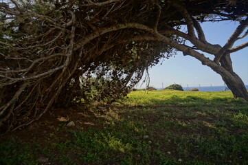 マルタ島の風景