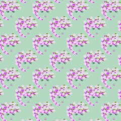 Fierce Beauty with Sakura Crown cherry blossom background