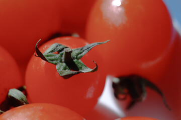 tomato on the vine