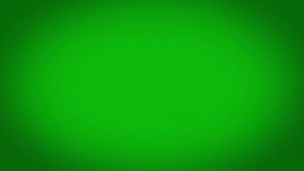 Hilarious raccoon meme video with green screen background. The animal shows a funny and surprised reaction, perfect as a meme template for social media