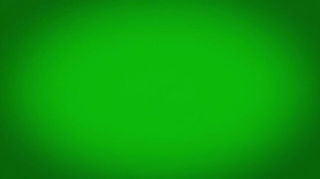 Hilarious raccoon meme video with green screen background. The animal shows a funny and surprised reaction, perfect as a meme template for social media