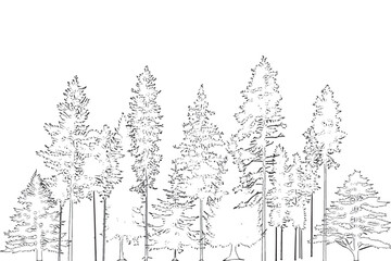 Fototapeta premium Wetland forest outline for landscape design drawings, side view, architectural drawings